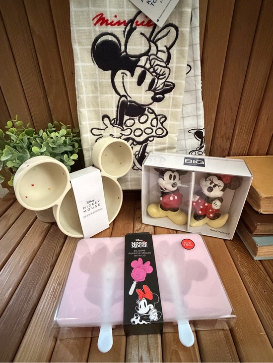 The Big One Other - Disney Minnie’s Kitchen Set:Salt Pepper Shakers, Bowl, Popsicle Mold, Towels NWT